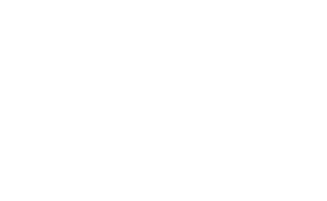 Muse Collective Studio